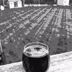 #48 Historical Backyard Beer
