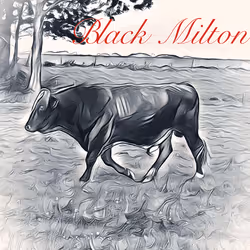 106168068867162485094593885732241547229015412580842941571810197390013715447809