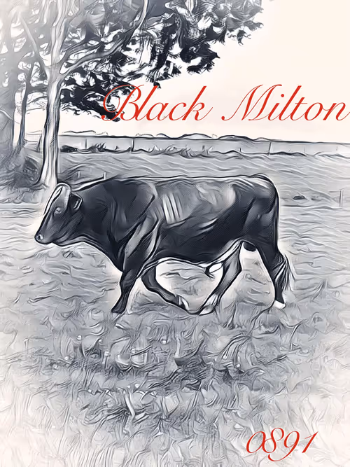 Item #106168068867162485094593885732241547229015412580842941571810197390013715447809 Media