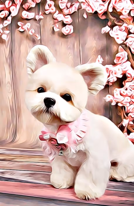 Item #21607923784025543658024067331009769919395041958272689574271021141952110264321 Media