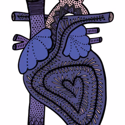 28824502245252267217549902857601847351510039266873569823091148104054295494657