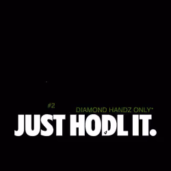JUST HODL IT. #2