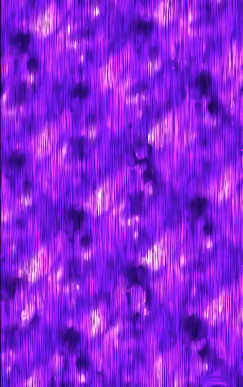 Item #44611237453711248654905561597773722314817851551656881771197240279004985950209 Media