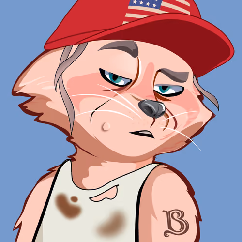 Raccoon-270