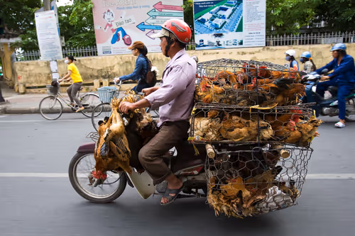 Item #24110165408155573398908987562152031273205884089304227586706331165528917278721 Media