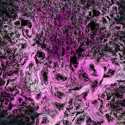 Vortex #1901