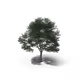 36557224033069565400419298715916611442711242076290286007895566286528914128897