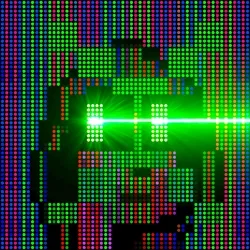 X-Nunk/ #4