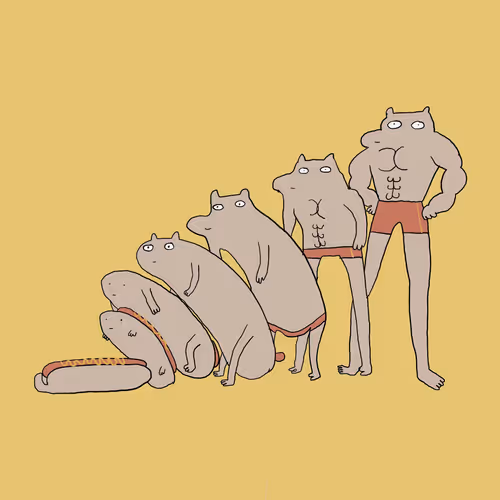 Item #21035381458708882562018857120027037173611101879388140006145820062379044503553 Media