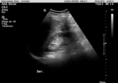 Item #11780915356901891937150191052604117223978980698243640119023280884969564536833 Media