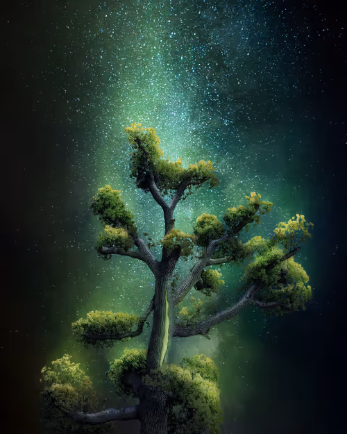 Item #21416361003760002990150949561959734604214414335970130450761433996590466465793 Media