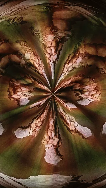 Item #35882245745798686917185348617726027847645759382559279171572756839413214871553 Media