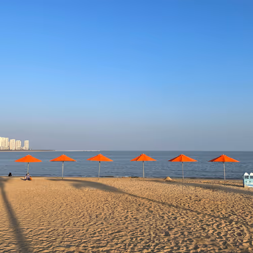 Untitled Collection #71424246