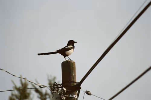 74023677201646755135331308507564903527540019638043320718460698815690899980289