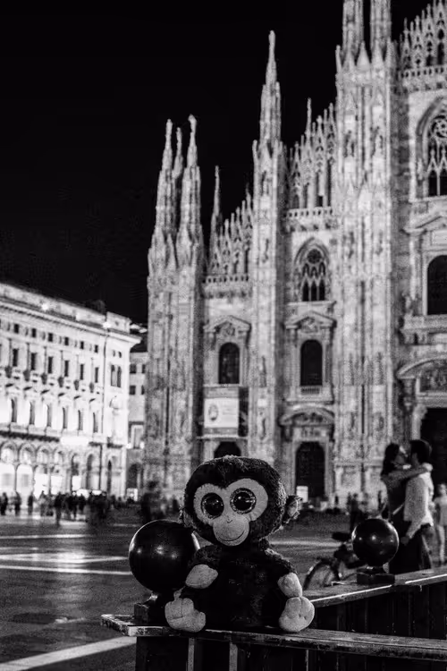 Item #78523124948883737191824425685370443041181342440538518293301156653670992969729 Media