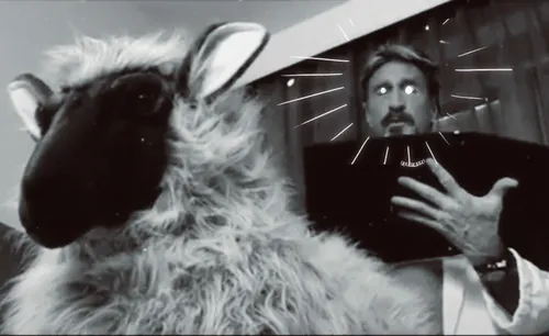 Item #51792000692652649706991026145015157507097883569816070395065263821493844836353 Media