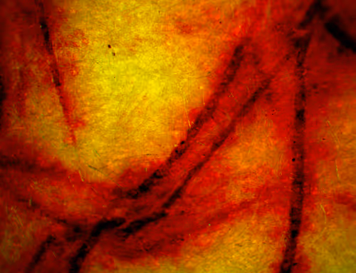 Item #71646257518770613568983710813551014237803002136866425209291834304470517284865 Media