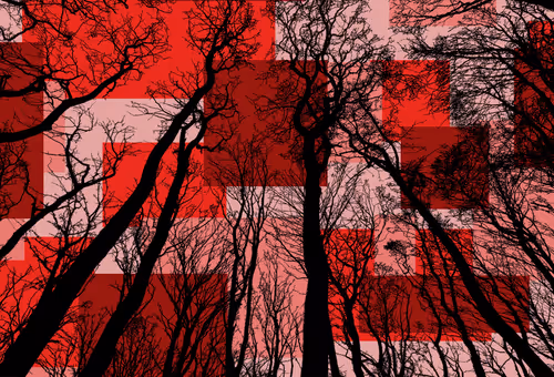 Item #98452652739139728385833177139880784176422420203299536309471942776711238647809 Media