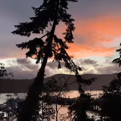 33261409280827848890636833313665954217119010705453802455397167650301334781956