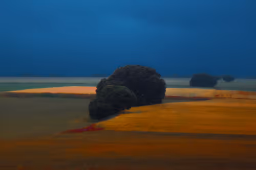 Item #97716626271628656101577116268185940007282338443253569412665055797822858723329 Media