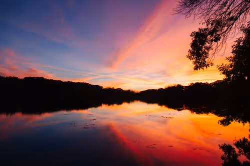 Item #64274873262107114504721973997955312169108596611344264208344202421523709952001 Media