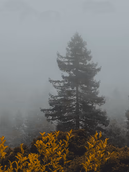 Item #31788909356613404137048829070137069187400346678612286943977180887259753218049 Media