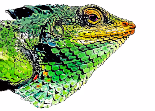 JBJart Collection - old