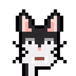 Anonycat#9989