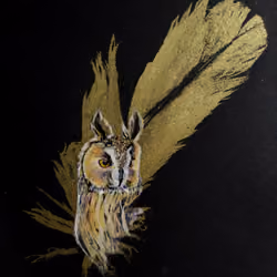 Silent Watcher - Long Eared Owl