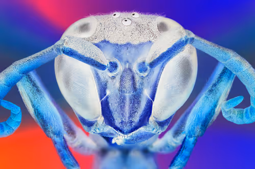 Item #34706450278162979318667539787965118364630649928530058686286775304404978368513 Media