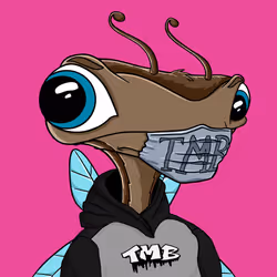 89536501044981580421954964775308188266516973450169695978544662816344231641089