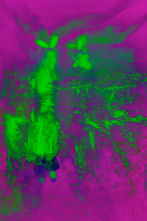 Item #97989182607158012528369754413058242921820698378010862838541472339427070050306 Media