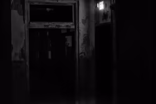 Item #82183435787039742687817407369025087190302189840279601090903984562740003864577 Media