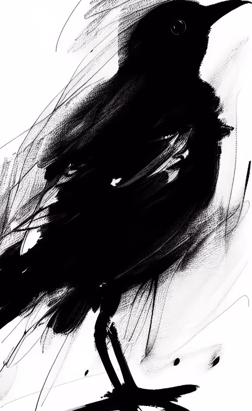 Item #73633098031128498041463970675466513214164661383708056531427417063411014434817 Media