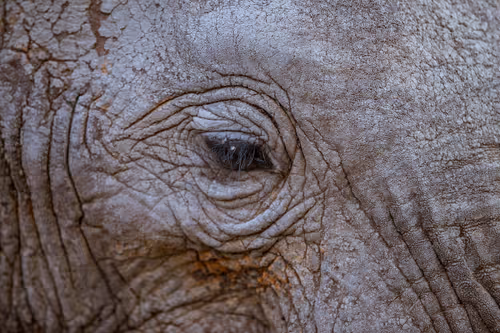 Item #97390858549290517915673057044451120522321858296040786888435299468294515326977 Media