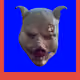 43611548141407519879911017181650845324484260882909911939077050435503984214017