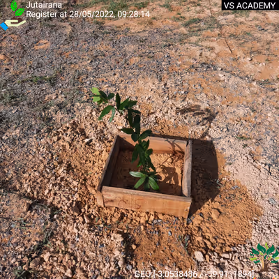 Item #8500196597889277390194123329501889087166328879864934763448348787432430239745 Media