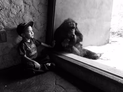 Item #84375876844769874995679511124378512056142188775641333661891558525336075370497 Media