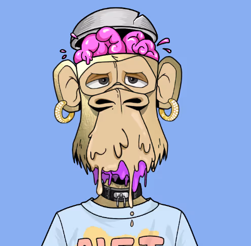 27149549031450094078354678932849847722098988145698472368535516044261247156225