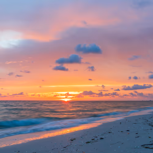 Florida Landscapes