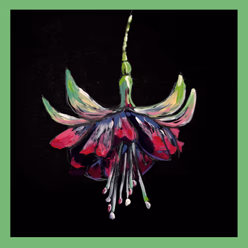 5779281467826994107992422148601232503379904017104496064971971937389544210433