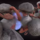 53810692459100585853913334537830611605540382069760000810786383049190860128257