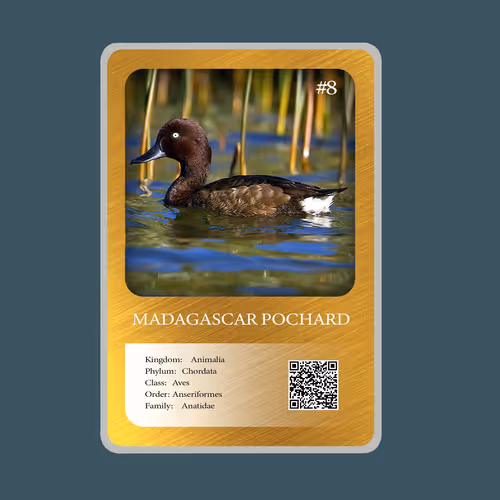 Item #20886832718642689244376634643648949640883698673827989316943493372775543865345 Media