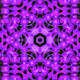 82793807533074803550559074412293794782293997573157595909210743727044459233281