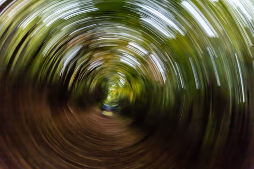 Item #9566349108743429006839101100921653396136012468553527091874592576688474816513 Media