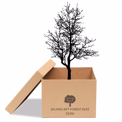 Item #63532776318757439562276927313719991273687356279339277108967620992616535949313 Media