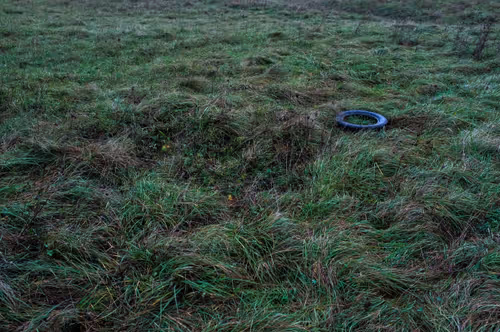 Item #88837150709499798352031986971363165703044907958800399059978422578687365873665 Media