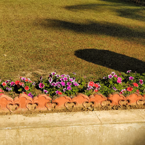 Reminiscence By Ashu