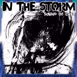 #43 In The Storm