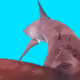 71618588863612067549416053592141971119574161476598517421443593741025538998273